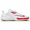 NIKE VAPOR LITE CLAY DH2949-188 WHITE MENS TENNIS SHOE 1 NIKE VAPOR LITE CLAY DH2949-188 WHITE MENS TENNIS SHOE -CLASH Shop NIKE20VAPOR20LITE20CLAY 500x500 1