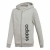 ADIDAS YOUNG BOY LINEAR FLEECE HOODIE GREY DJ1786 -CLASH Shop adidas yb lin fleece hoodie dj1786 grey 500x500 1